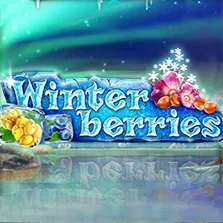 winterberries