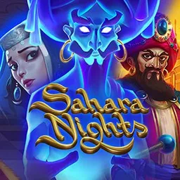 Sahara Nights